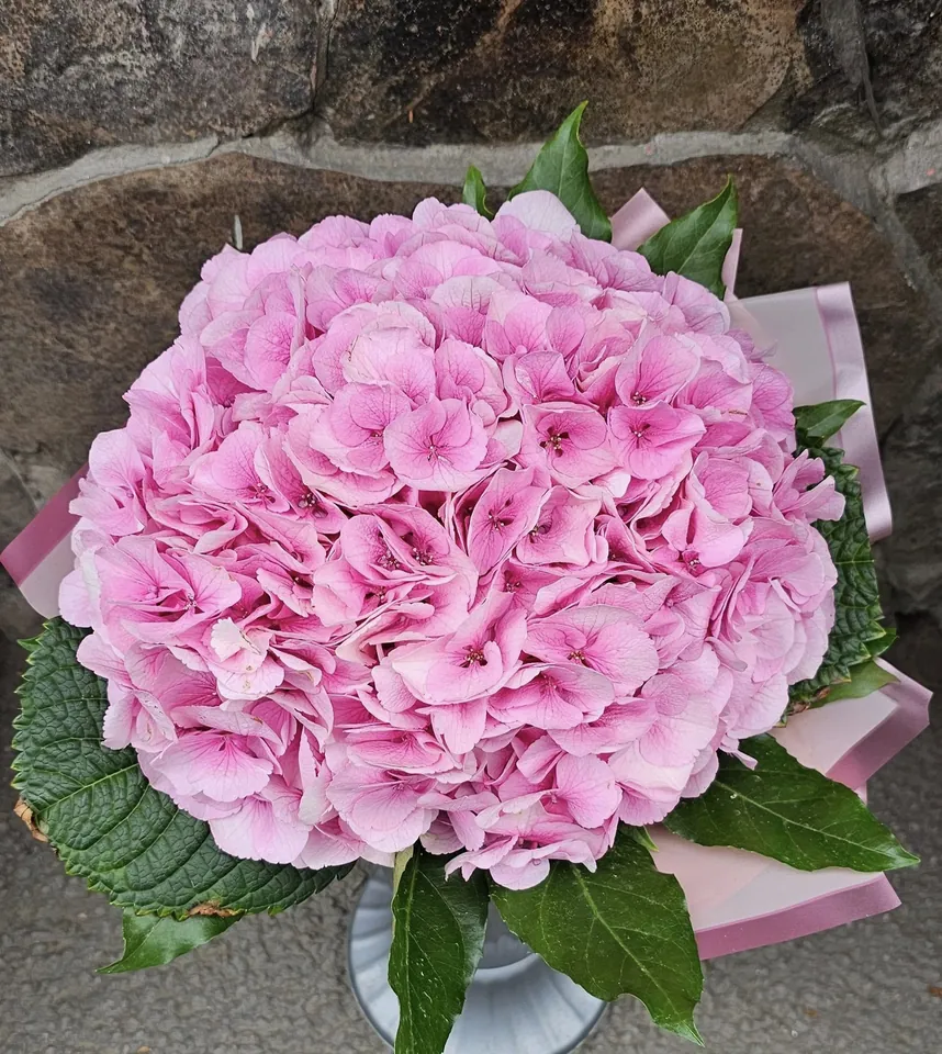 Hortensie roz într-un buchet